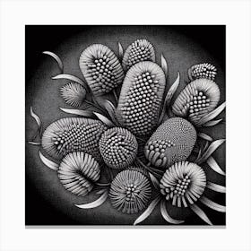 Banksia 1 Canvas Print