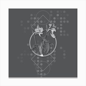 Vintage Brazilian Amaryllis Botanical with Line Motif and Dot Pattern in Ghost Gray n.0092 Canvas Print