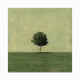 Lone Tree 8 Canvas Print