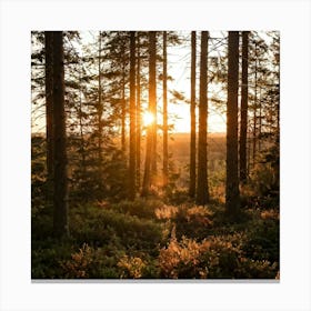 Sunset In The Forest Canvas Print