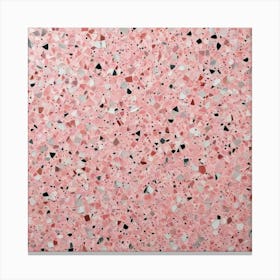 Pink Granite Countertop Canvas Print