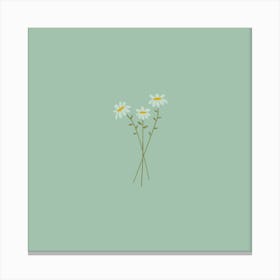 Daisy Painting, Daisy Painting, Daisy Painting, Daisy Painting Canvas Print