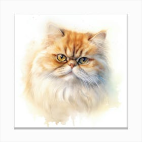 Persian Cat Portrait 3 Canvas Print