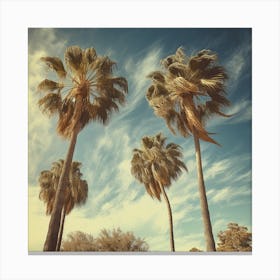 Palms 2 Canvas Print