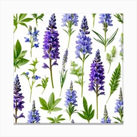 Nature Pattern Isolate White Arrangement Purple Flat Floral Blue Natural Herbal Medicine (8) Canvas Print