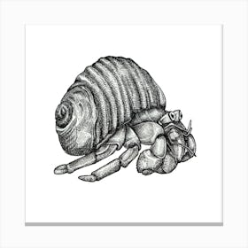 Hermit Crab no. 1 Black and White Ink Illustration 1 Canvas Print