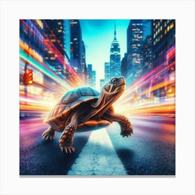 Tortoise Canvas Print