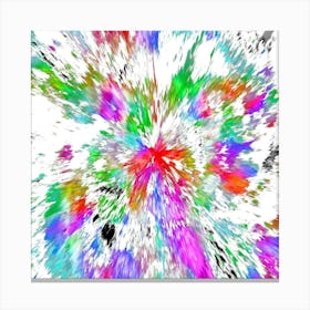 Abstract Paint Splash Canvas Print