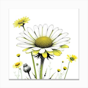 Daisy 6 Canvas Print