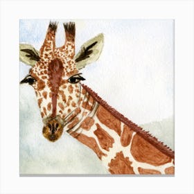 Giraffe Watercolor Painting Canvas Print