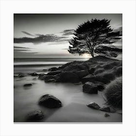 Lone Tree 33 Canvas Print