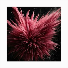 Pink Explosion Canvas Print