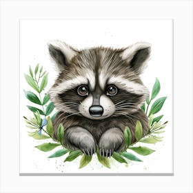 Baby Raccoon Canvas Print