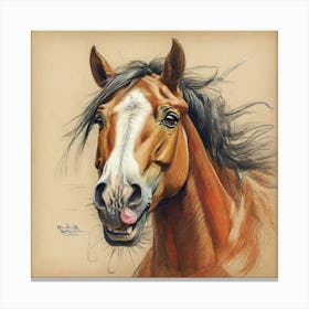 Horse Portrait 7 Canvas Print