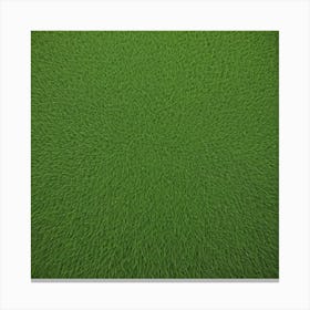 Green Grass Background 13 Canvas Print