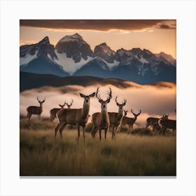 Deer Herd At Sunset Canvas Print
