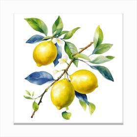 Lemons On A Branch 1 Canvas Print