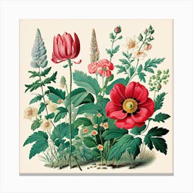 A Vintage Botanical Illustration Of Flowers And Plants art print. Canvas Print