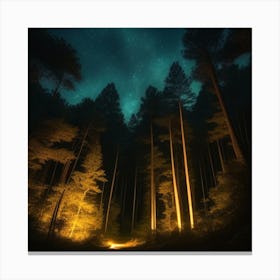 Forest At Night 2 Canvas Print