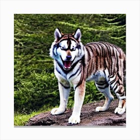 Husky Tiger 1 ( Fromhifitowifi ) Canvas Print