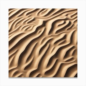 Sand Dune Texture 5 Canvas Print