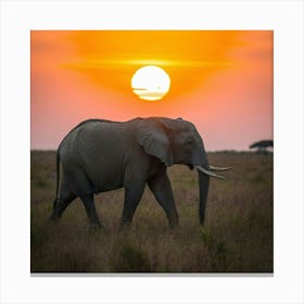 Elephant At Sunset Canvas Print