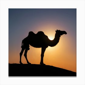 Silhouette Of Camel At Sunset Canvas Print
