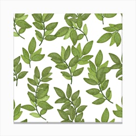 Green Leaves pattern on white background Canvas Print