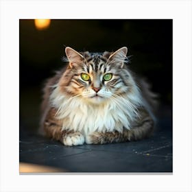 Portrait Of A Cat Canvas Print