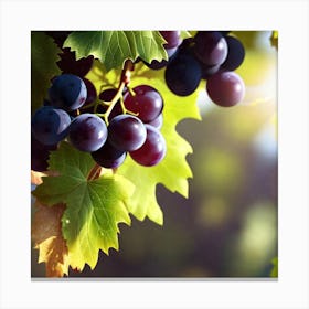 Grapes On The Vine 16 Canvas Print