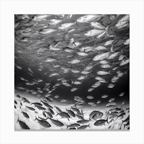 School Of Fish 3 Canvas Print