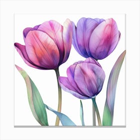 Watercolor Tulips 4 Canvas Print