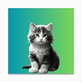 Kitten On A Green Background Canvas Print