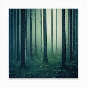 Forest At Night Canvas Print