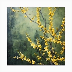 Forsythia 1 Canvas Print