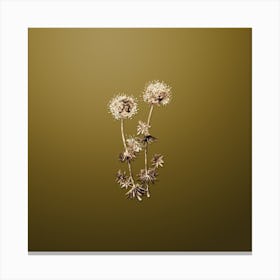 Gold Botanical Crucianella Flower Branch on Dune Yellow n.1292 Canvas Print