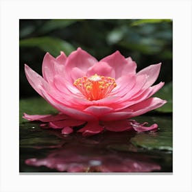 Pink Lotus Flower 2 Canvas Print