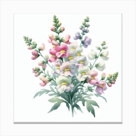 Flower of Snap-dragon Canvas Print