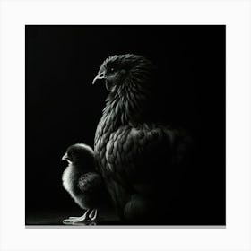 Hen And Chick 2 Canvas Print