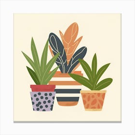 Potted Plants 8 Canvas Print