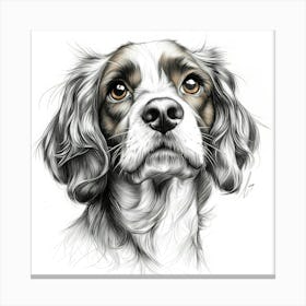 Cocker Spaniel 2 Canvas Print