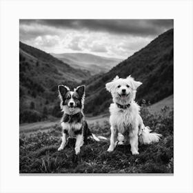 Cute Dogs Inabeautifulplace Canvas Print