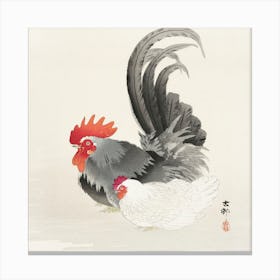 Chicken And Cock, Ohara Koson Canvas Print