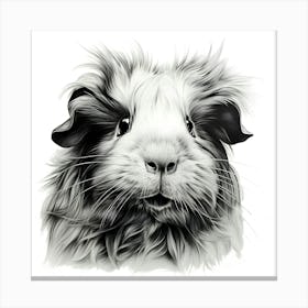 Guinea Pig Portrait Canvas Print