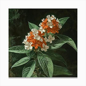 Orange Flowers In A Tree Art Canvas Print