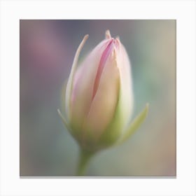 A Close Up Of A Delicate Bird Bud Just Beginning To Bloom, With Soft Petals And Hints Of Vibrant Col (1) Canvas Print