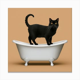 Black Cat In Bathtub Canvas Print