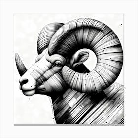 Capricorn Head - Abstract Line Art Illustration 64 Canvas Print