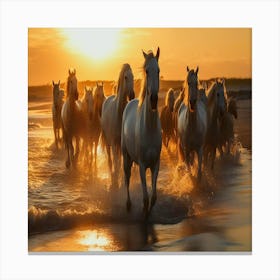 Herd Of Horses At Sunset,herd of white horses running in water Canvas Print