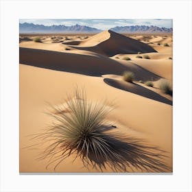 Sahara Desert 5 Canvas Print